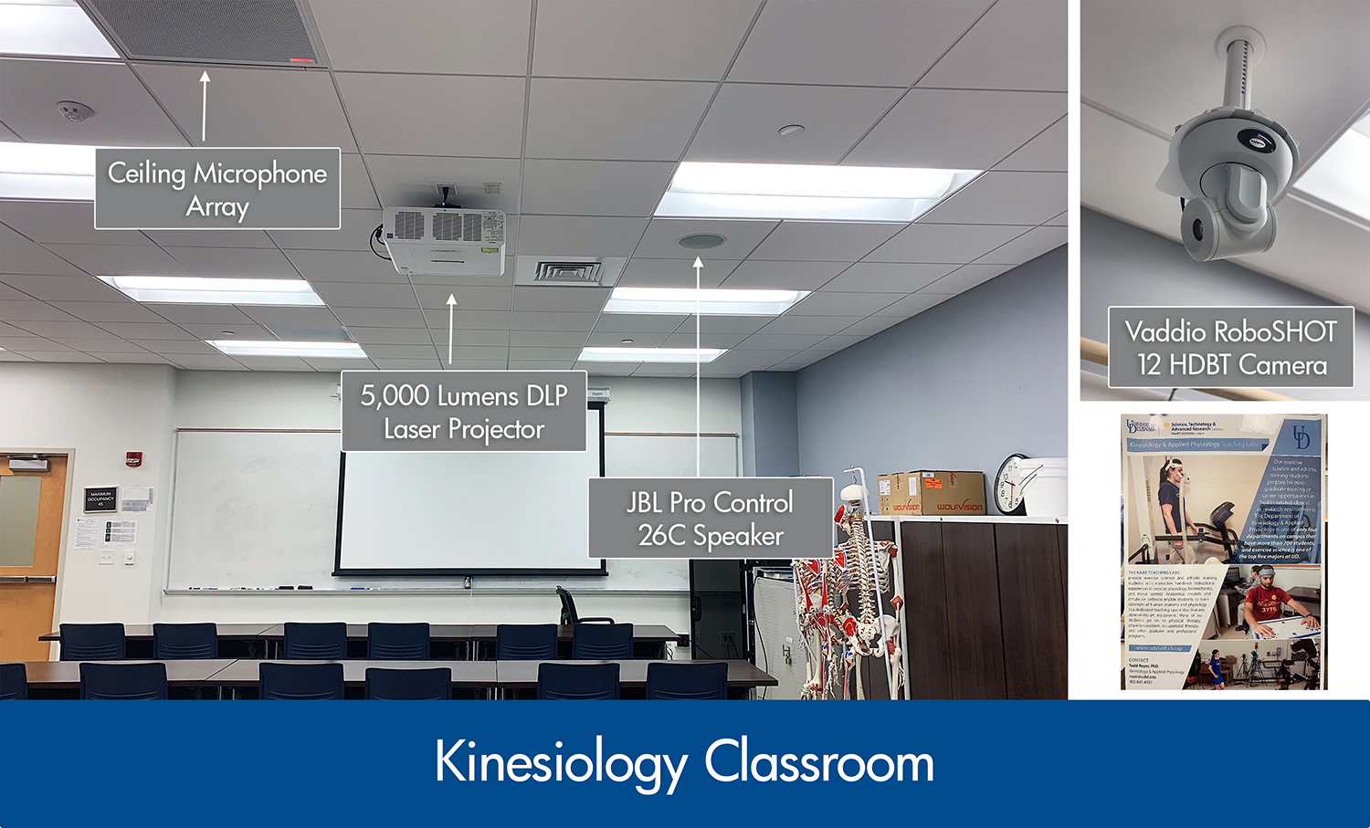 Systems integration in kinesiology classroom