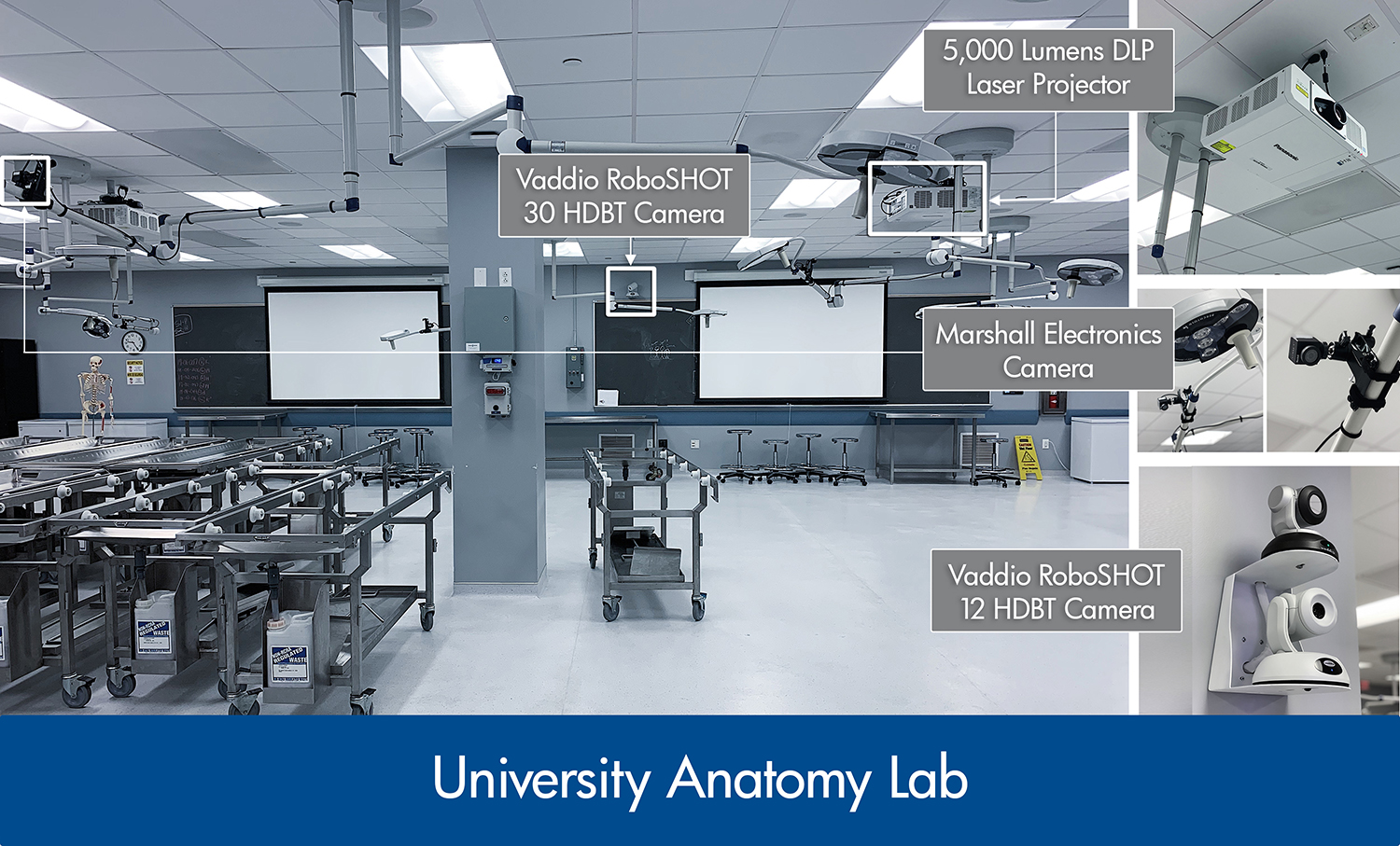 Systems integration in anatomy lab