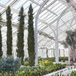 IMS Wins Award for 5th Consecutive Year